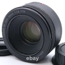 Quality Canon Single Focus Lens Ef 50Mm F1.8 Stm