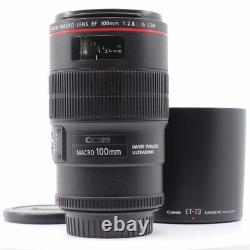 Canon Monofocus Macro Objectif Ef100mm F2.8l Macro Is Usm Pleine Taille C00084