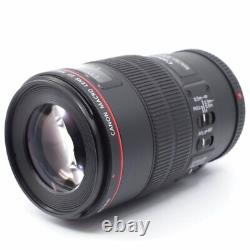 Canon Monofocus Macro Objectif Ef100mm F2.8l Macro Is Usm Pleine Taille C00084