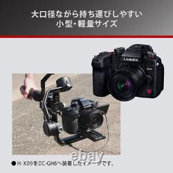 Objectif à focale fixe PANASONIC Leica DG SUMMILUX 9mm F1.7 Asph. H-X09 Macro 4/3
